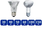 Spotlight and Reflector lightbulbs are usually available with this range of wattages