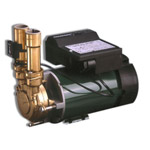 A Single-Impeller Water Pump